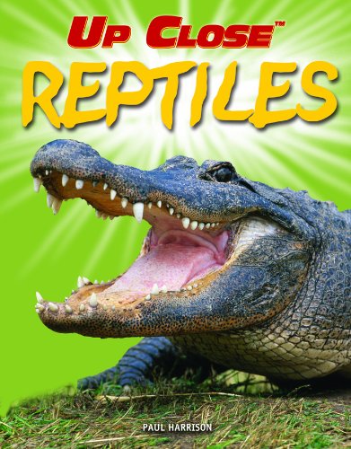 Reptiles by Paul Harrison