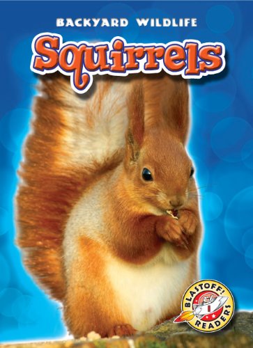 Squirrels by Derek Zobel
