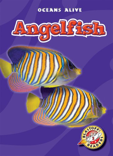 Angelfish (Blastoff! Readers: Oceans Alive) by Colleen Sexton