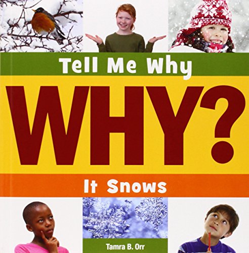 It Snows by Tamra B. Orr
