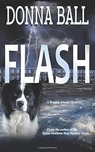 Flash