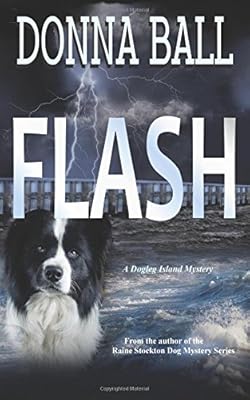 Flash