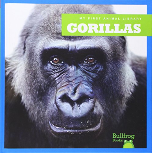 Gorillas by Mari Schuh