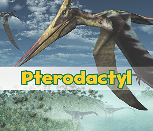Pterodactyl by Daniel Nunn
