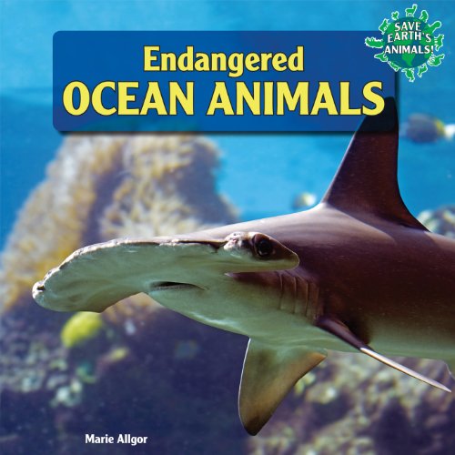 Endangered Ocean Animals by Marie Allgor