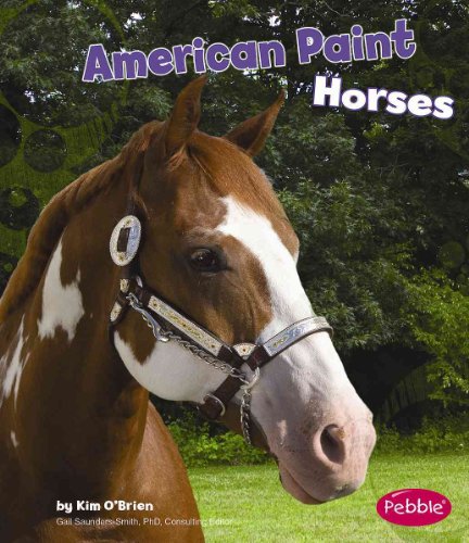 American Paint Horses (Horses (Pebble Books)) by Kim O'Brien