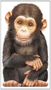 Little Chimp