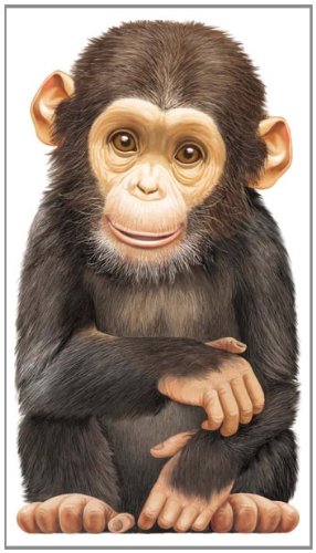 Little Chimp by L. Rigo