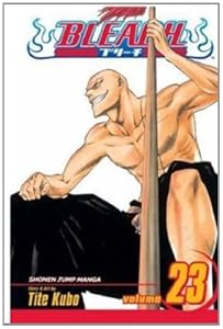 Bleach, Vol. 23