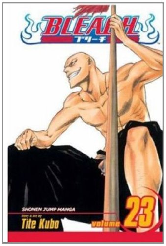 Bleach, Vol. 23 by Tite Kubo