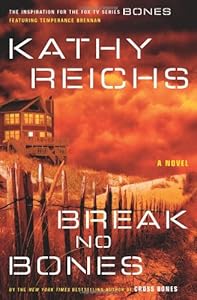 Break No Bones: A Novel