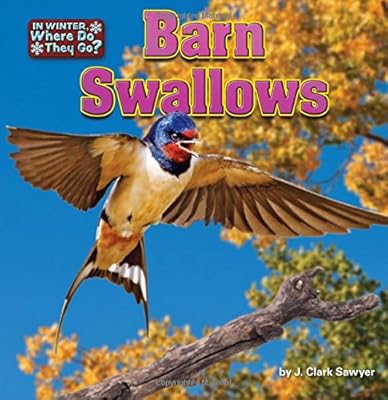 Barn Swallows