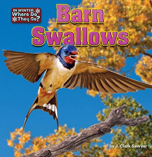 Barn Swallows by J. Clark Sawyer