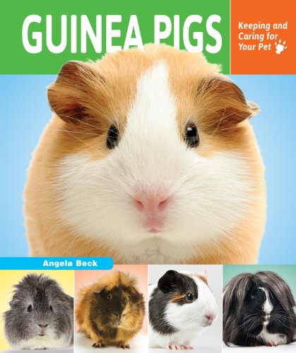 Guinea Pigs: Keeping and Caring for Your Pet by Angela Beck