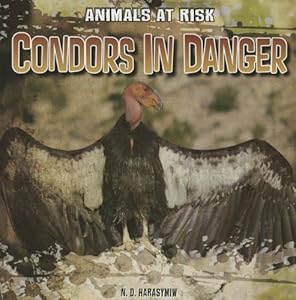 Condors in danger