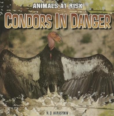 Condors in danger