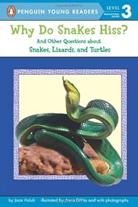 Why do snakes hiss? : and other questions about snakes, lizards, and turtles