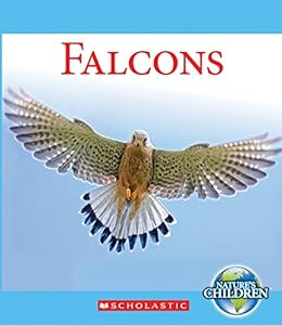 Falcons