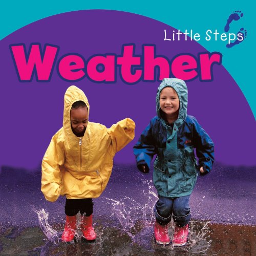Little Steps Weather by Polly Goodman