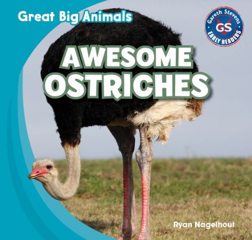 Awesome Ostriches by Ryan Nagelhout