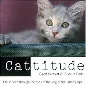 Cattitude: Life As Seen Through the Eyes of the King of the Urban Jungle by Geoff Bartlett