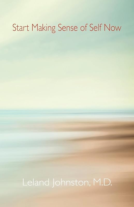 Start Making Sense of Self Now by Leland Johnston