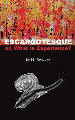 Escargotesque, or, What is Experience?