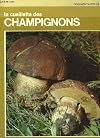 La cueillette des champignons