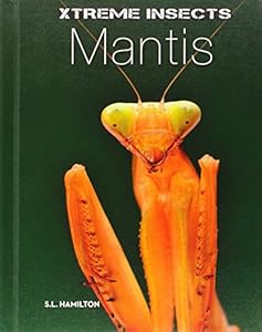 Mantis