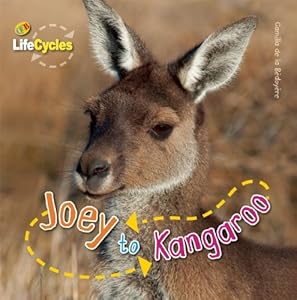 Joey to Kangaroo