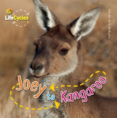 Joey to Kangaroo by Camilla de la Bedoyere