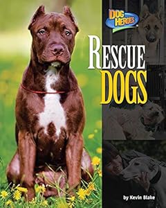 Rescue Dogs