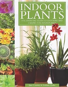 Indoor Plants: The Essential Guide to Choosing and Caring for Houseplants