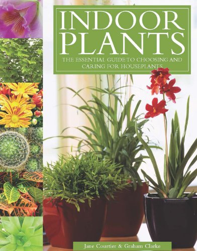 Indoor Plants: The Essential Guide to Choosing and Caring for Houseplants by Jane Courtier