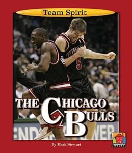 The Chicago Bulls (Team Spirit (Norwood))