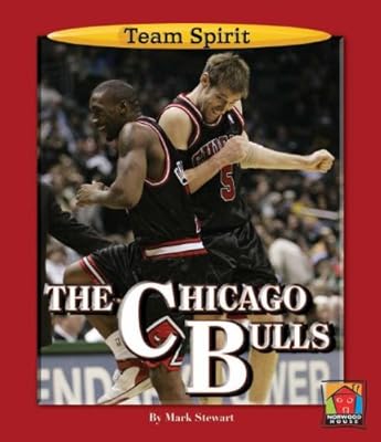 The Chicago Bulls (Team Spirit (Norwood))