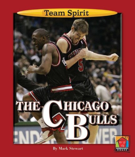 The Chicago Bulls (Team Spirit (Norwood)) by Mark Stewart