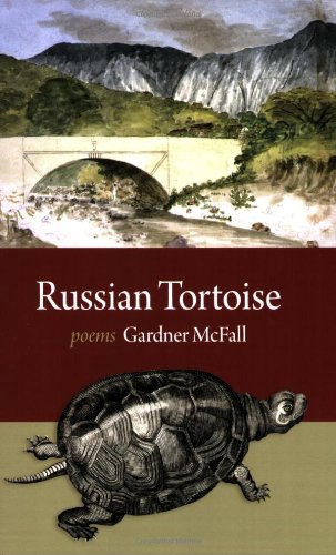 Russian Tortoise by Gardner McFall