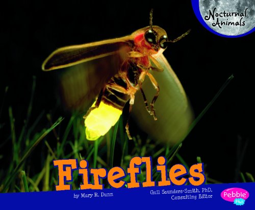 Fireflies (Pebble Plus: Nocturnal Animals) by Mary Rose Dunn