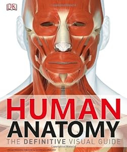Human Anatomy
