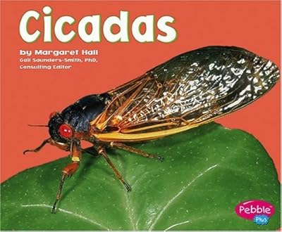 Cicadas (Pebble Plus)
