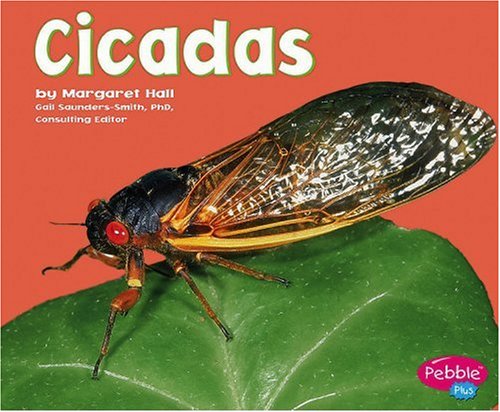 Cicadas (Pebble Plus) by Margaret