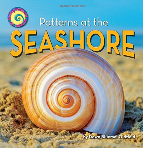 Patterns at the Sea Shore by Dawn Bluemel Oldfield