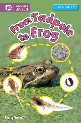 From Tadpole to Frog by Sally Hewitt