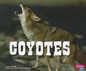 Coyotes