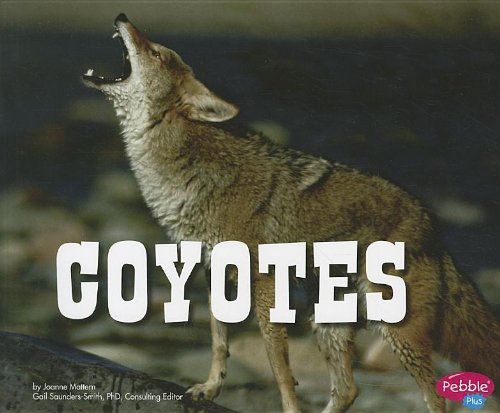 Coyotes by Joanne Mattern