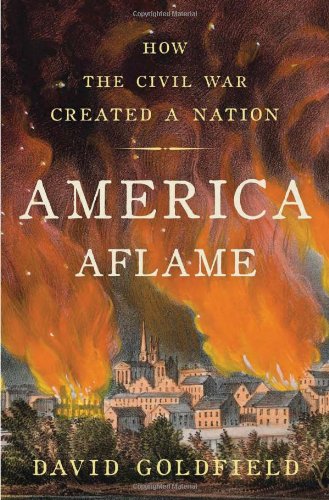 America Aflame: How the Civil War Created a Nation by David Goldfield