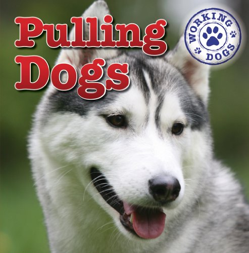 Pulling Dogs by Kristen Rajczak