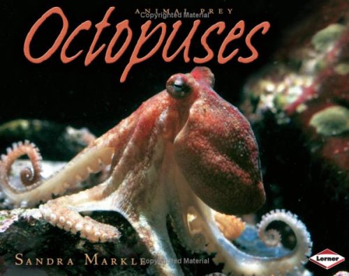 Octopuses (Animal Prey) by Sandra Markle