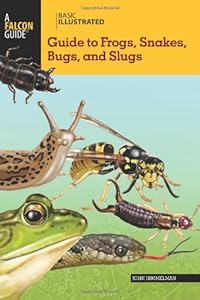 Basic Illustrated Guide to Frogs, Snakes, Bugs, and Slugs
